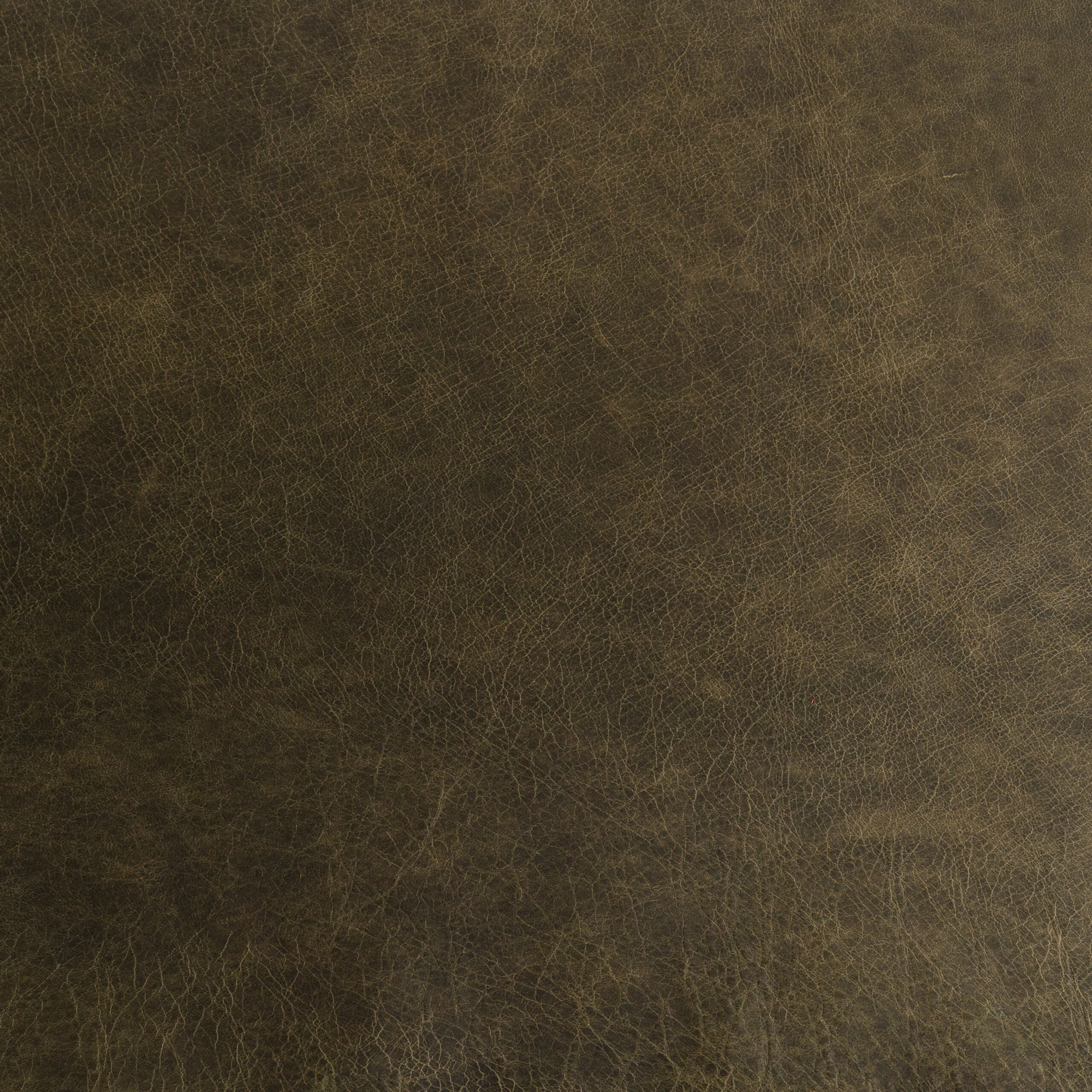 Burnt Olive – deep green rustic leather swatch with a natural texture